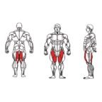 FE-019-Hip-Abductor-1-1.jpg