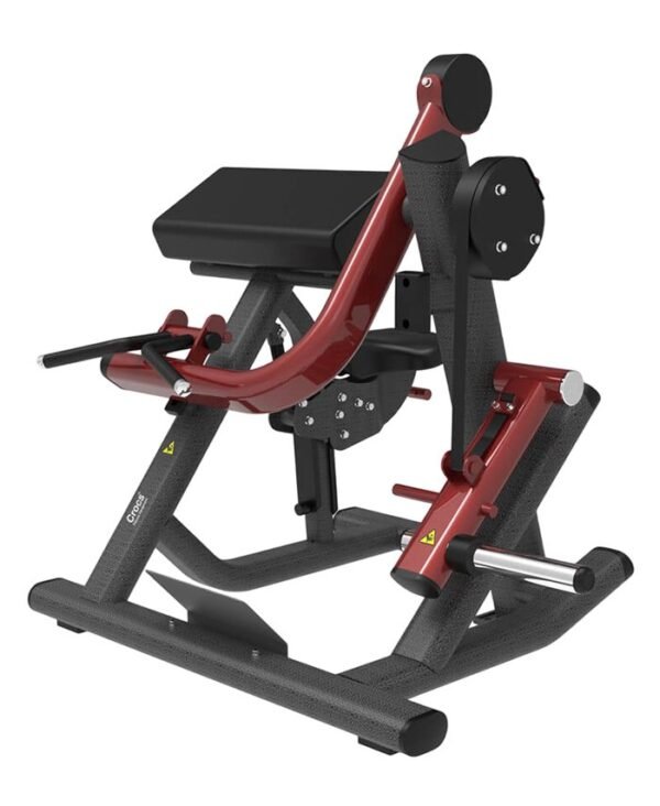 FE-309-Seated-Biceps-Curl.jpg