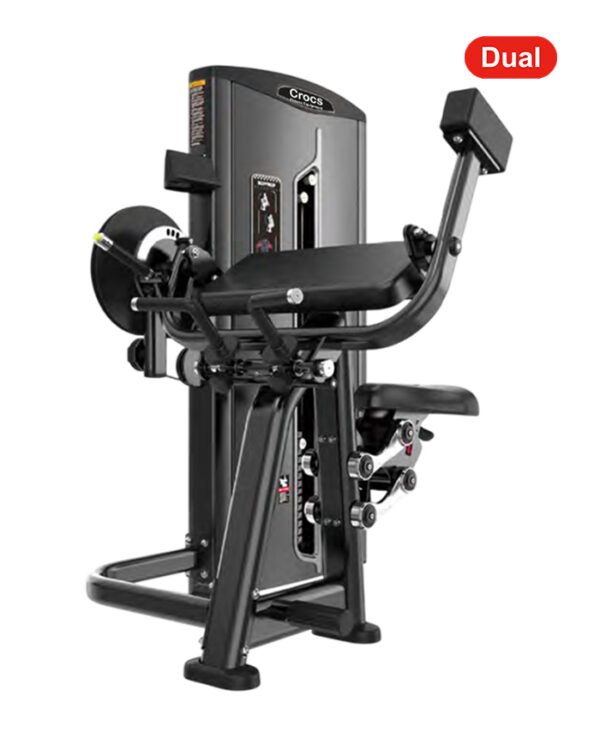MA31 Biceps Curl & Triceps Extension