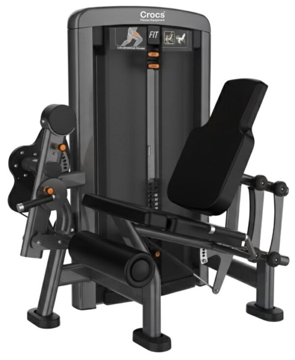 PL-002-Leg-Extension.jpg