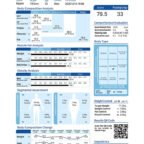 PureBCA-Report Sheet